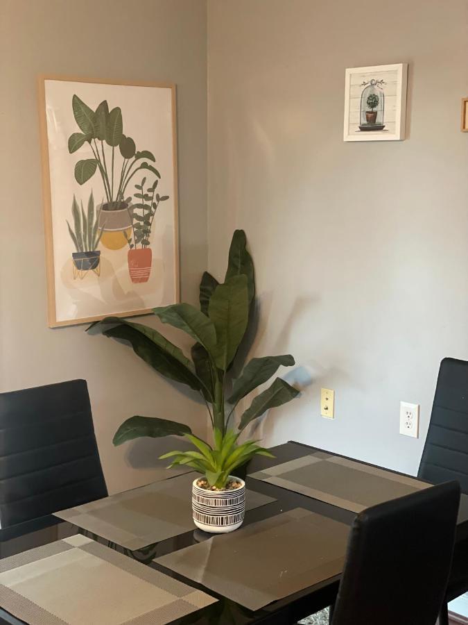 Cute 2-Brm Walkout Apt With Pool Table And Theater Διαμέρισμα Λέξινγκτον Εξωτερικό φωτογραφία